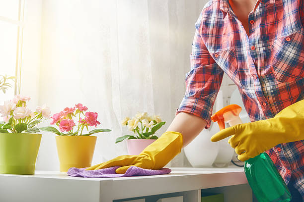 How to Spring Clean Your Home: 17 Tips and Tricks